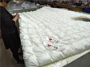 淮安市淮安區(qū)鑫豐羽絨制品廠 最新市場供求動態(tài)與產(chǎn)業(yè)前景分析